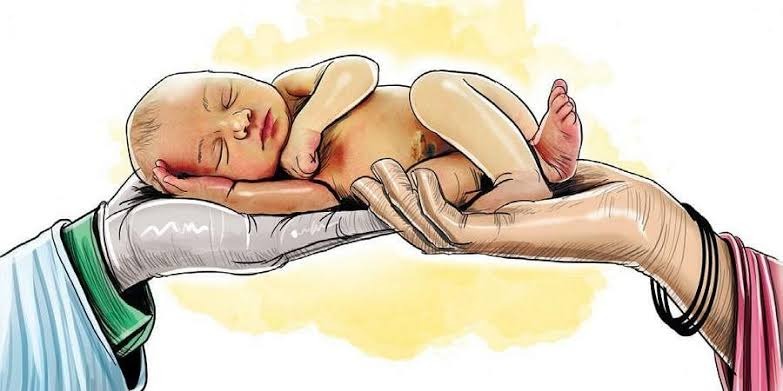 whatsapp image 2026 04 08 at 9.44.17 pm